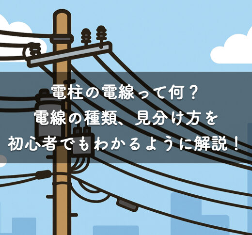 電柱の電線って何？電線の種類、見分け方を初心者でもわかるよう